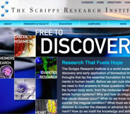 The Scripps Research Institute Website